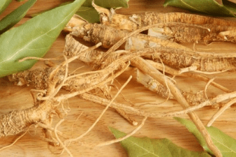 Suma Wortel - The Predators