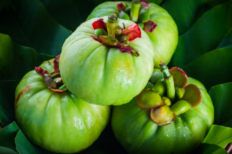 Garcinia Cambogia