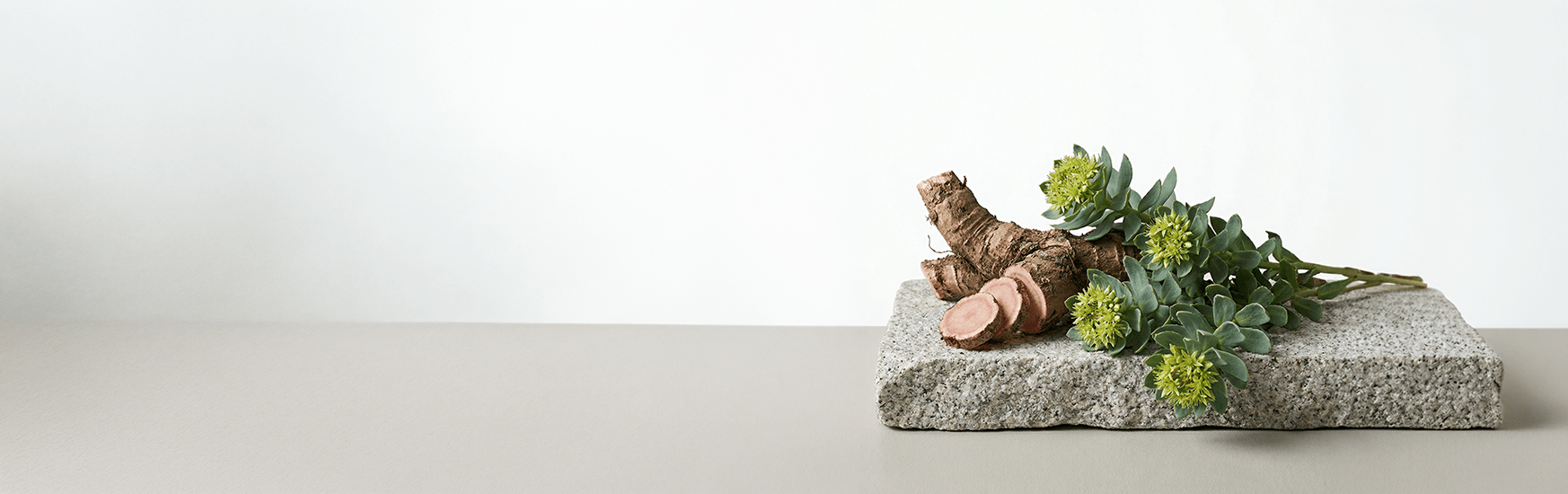 Rhodiola Rosea - The Predators