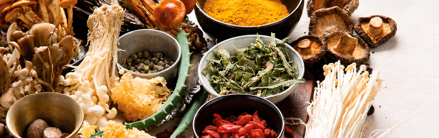 What Are Adaptogens? The Honest Answer - The Predators