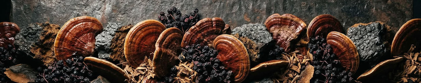 Blends - The Predators