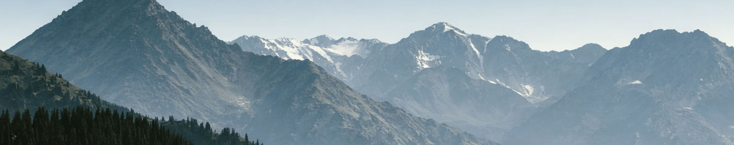 Cognitive Clarity - The Predators