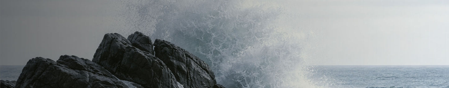 Immune Support - The Predators