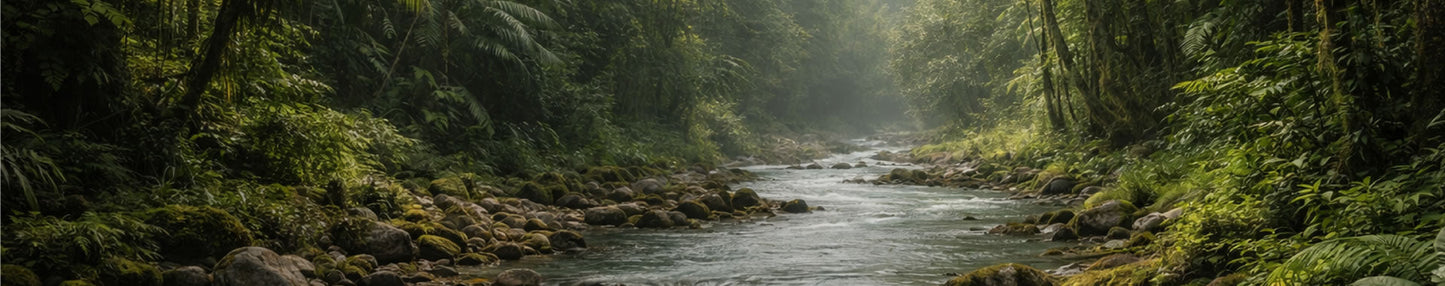 Metabolic Wellbeing - The Predators