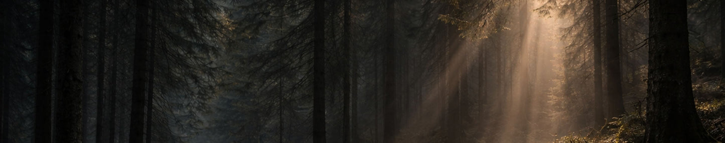 Rest & Renewal - The Predators