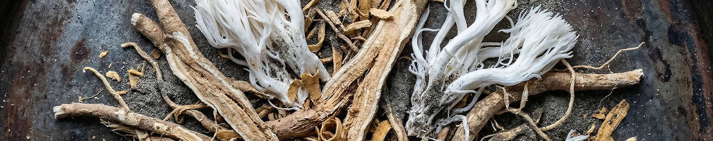 Supplements - The Predators