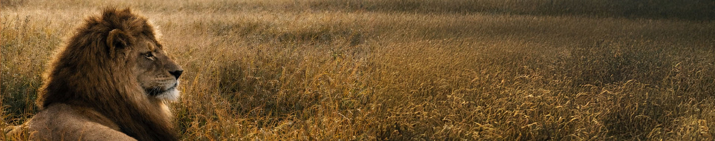 Think - The Predators