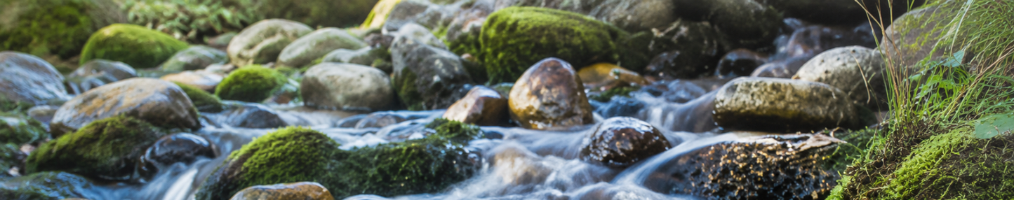 Stream flowing over rocks with green moss in a natural setting. www.thepredators.eu