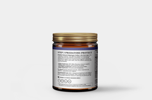 Ground Mushroom Coffee - Vernieuwd met verbeterde smaak - The Predators