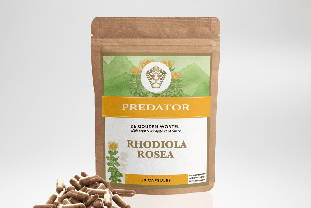 Rhodiola Rosea Capsules - Energie - The Predators