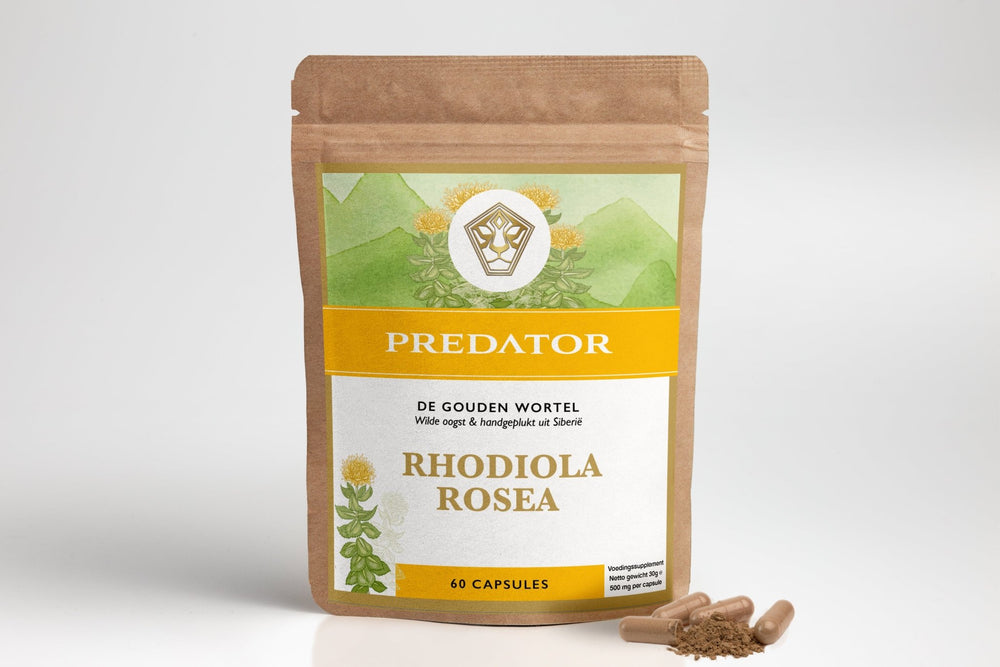 Rhodiola Rosea Capsules - Energie - The Predators