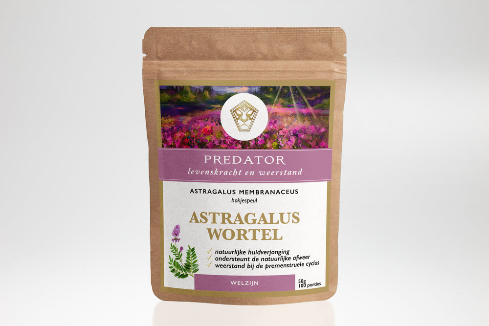 Astragalus - Life force & Immunity